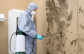 Best Mold Remediation for Healthcare Facilities  in USA